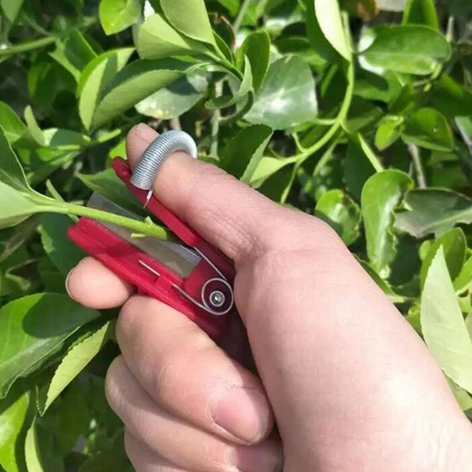 Harvest Knife Garden - Red Vegetable Fruit Harvesting Picking Tool