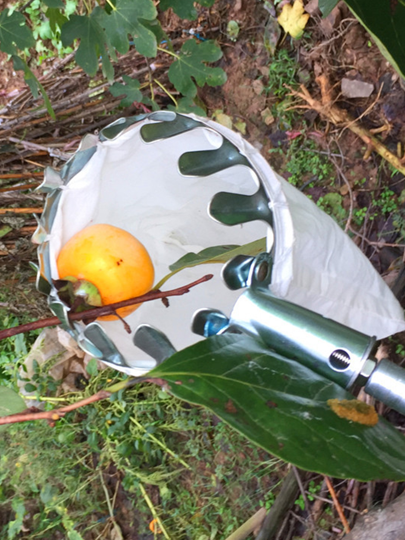 Fruit Picking Machine Fruit Co - Gardening Tools Equipment avis et prix