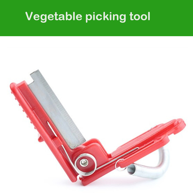 Vegetable Thump Knife Separato - Harvest Knife Garden avis et prix