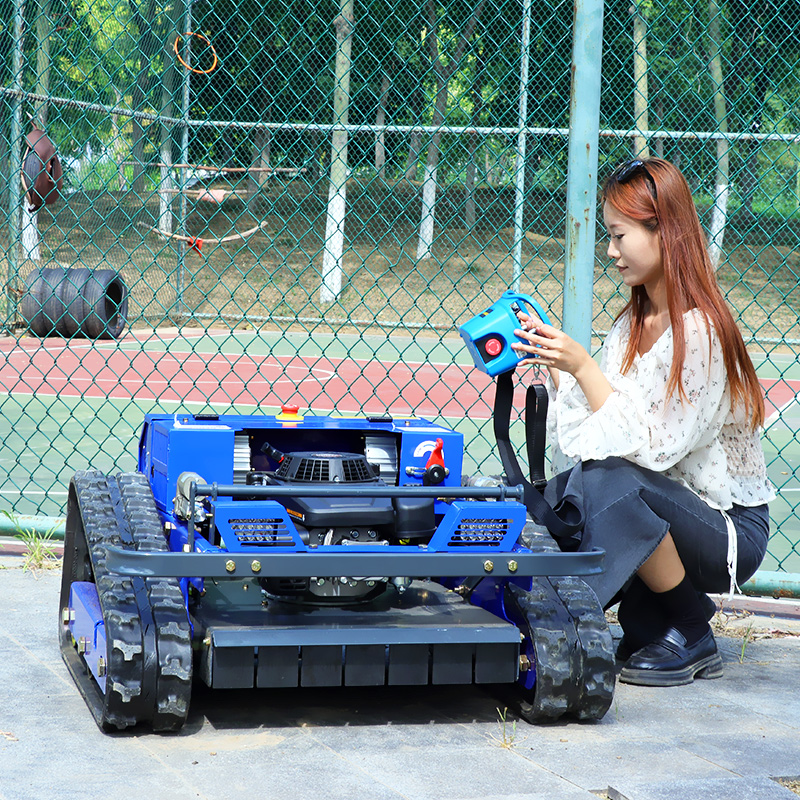Customized High Power Remote C - Gardening Tools Lawn Mower avis et prix