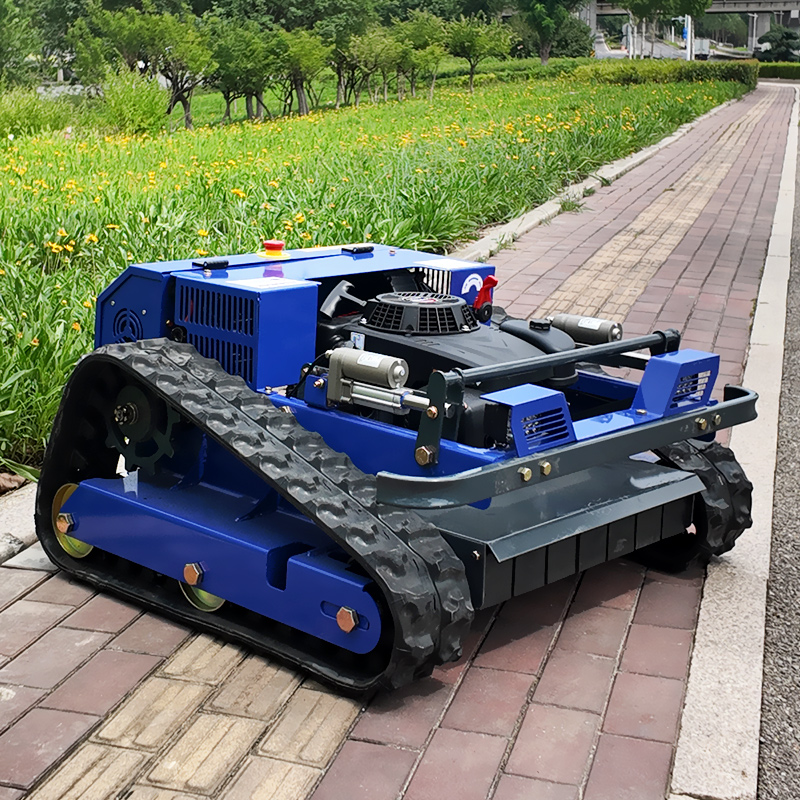 Customized High Power Remote C - Gardening Tools Lawn Mower avis et prix