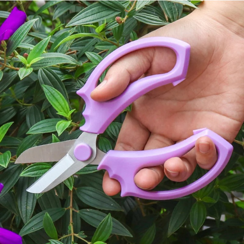 Professional Flower Scissor Ga - Harvest Knife Garden avis et prix