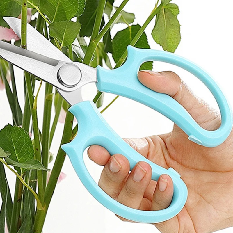 Professional Flower Scissor Ga - Harvest Knife Garden avis et prix