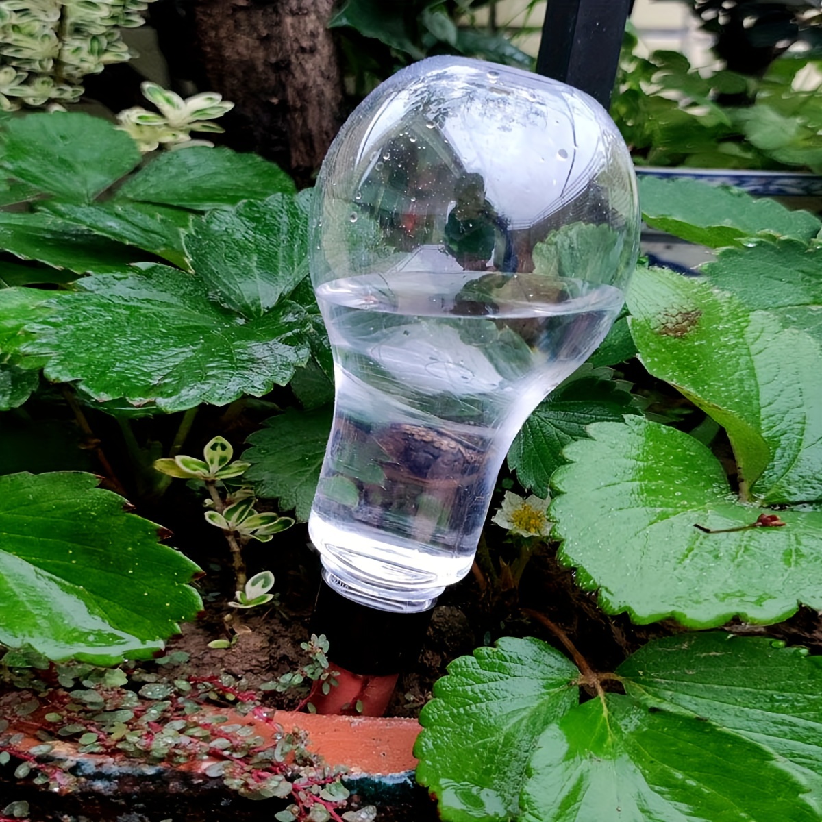 Garden Automatic Watering Tool - Gardening Tools Water avis et prix