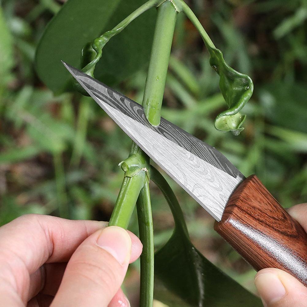 Grafting Knife Grafting Tools  - Harvest Knife Garden avis et prix