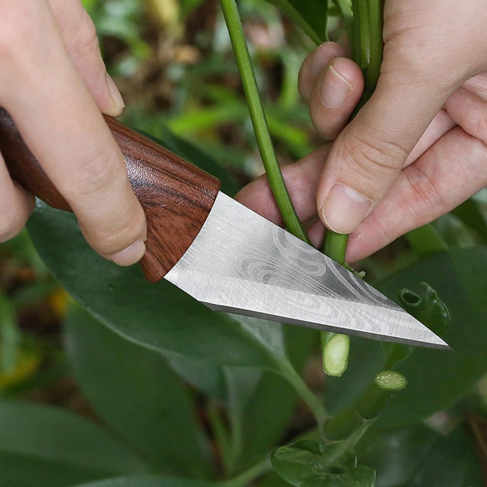 Grafting Knife Grafting Tools  - Harvest Knife Garden avis et prix