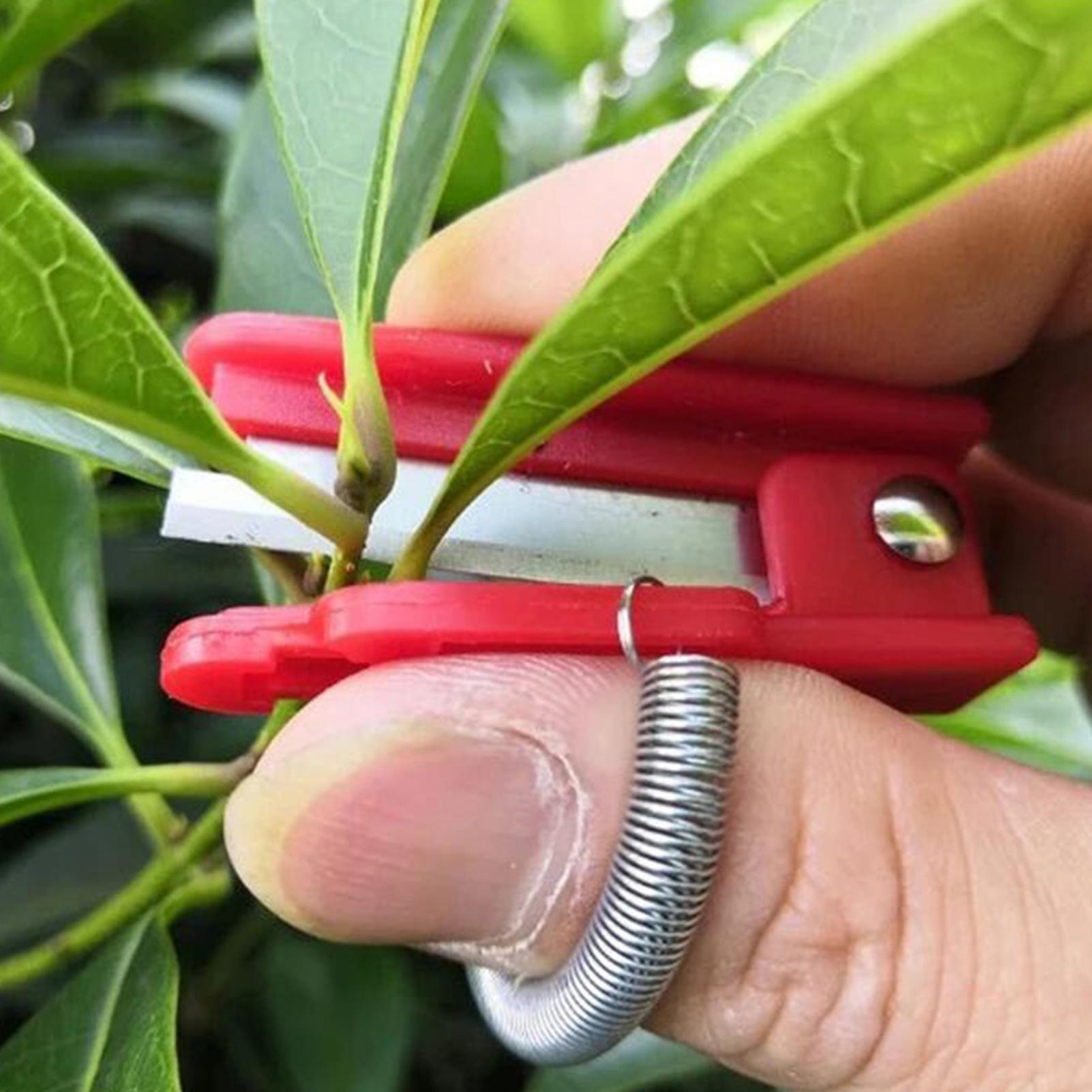 Red Vegetable Fruit Harvesting - Harvest Knife Garden avis et prix