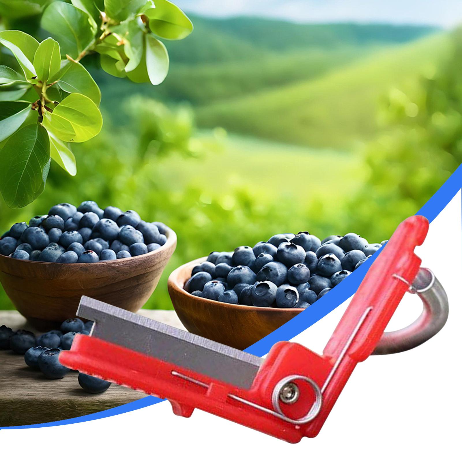 Red Vegetable Fruit Harvesting - Harvest Knife Garden avis et prix