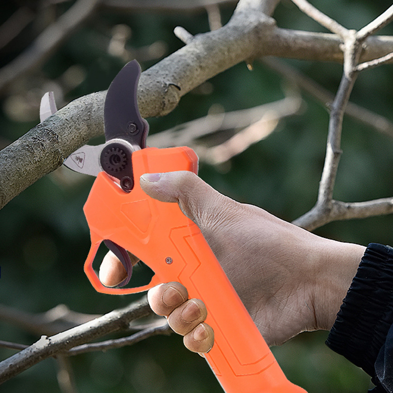Hot Sale 42V Bodypack Electric - Gardening Tools For Sale avis et prix