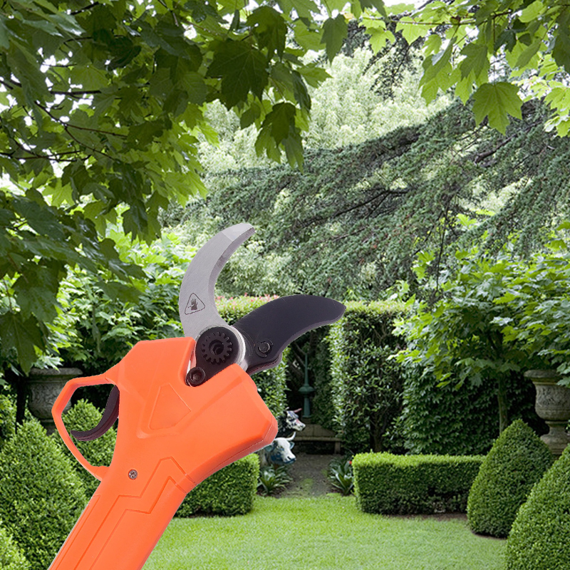 Hot Sale 42V Bodypack Electric - Gardening Tools For Sale avis et prix