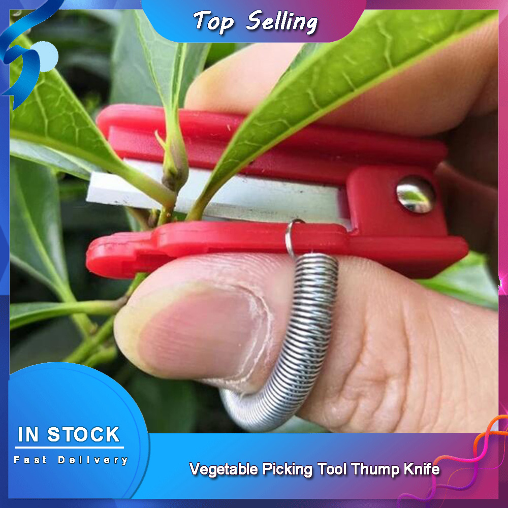 Vegetable Picking Tool Thump K - Harvest Knife Garden avis et prix