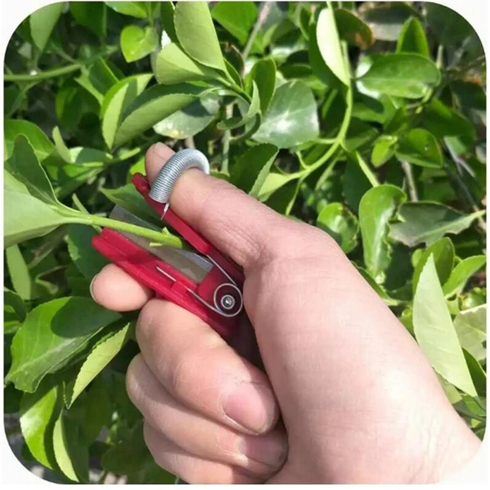 Vegetable Picking Tool Thump K - Harvest Knife Garden avis et prix