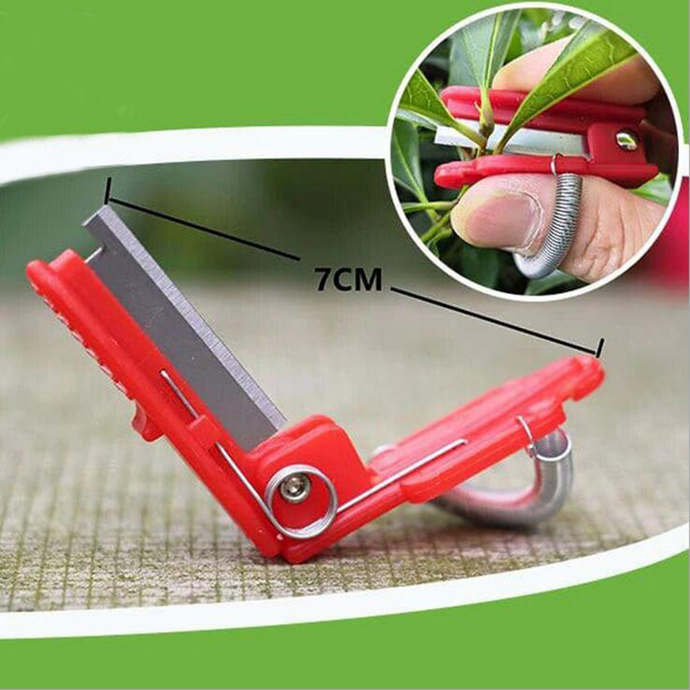 Vegetable Picking Tool Thump K - Harvest Knife Garden avis et prix