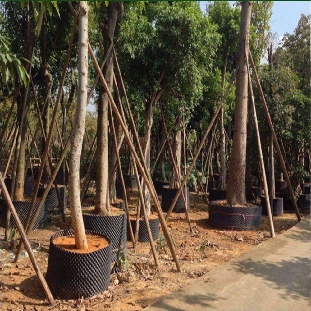 Grow Container Garden Tree Bon - Gardening Tools In avis et prix