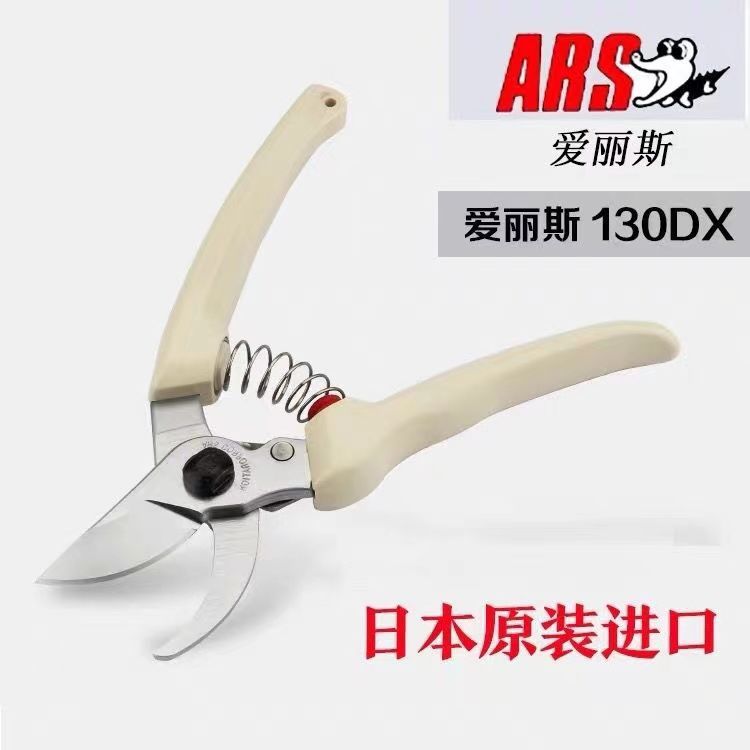 Pruning scissors, garden tools - Gardening Tools Japan avis et prix