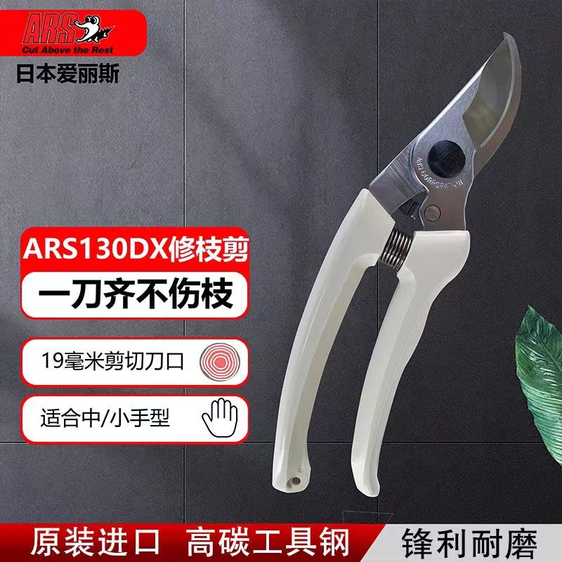 Pruning scissors, garden tools - Gardening Tools Japan avis et prix