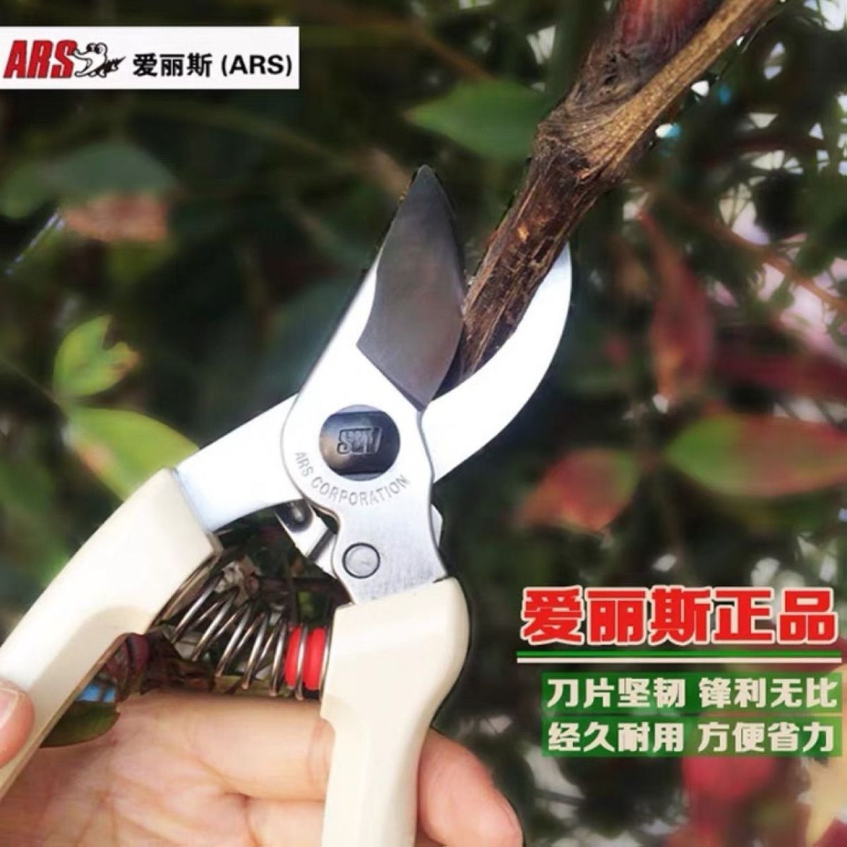 Pruning scissors, garden tools - Gardening Tools Japan avis et prix
