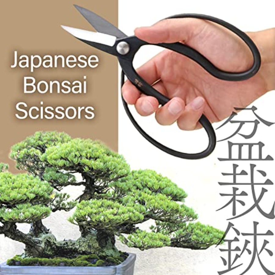 Japanese Suiryu Bonsai Scissor - Gardening Tools Japan avis et prix