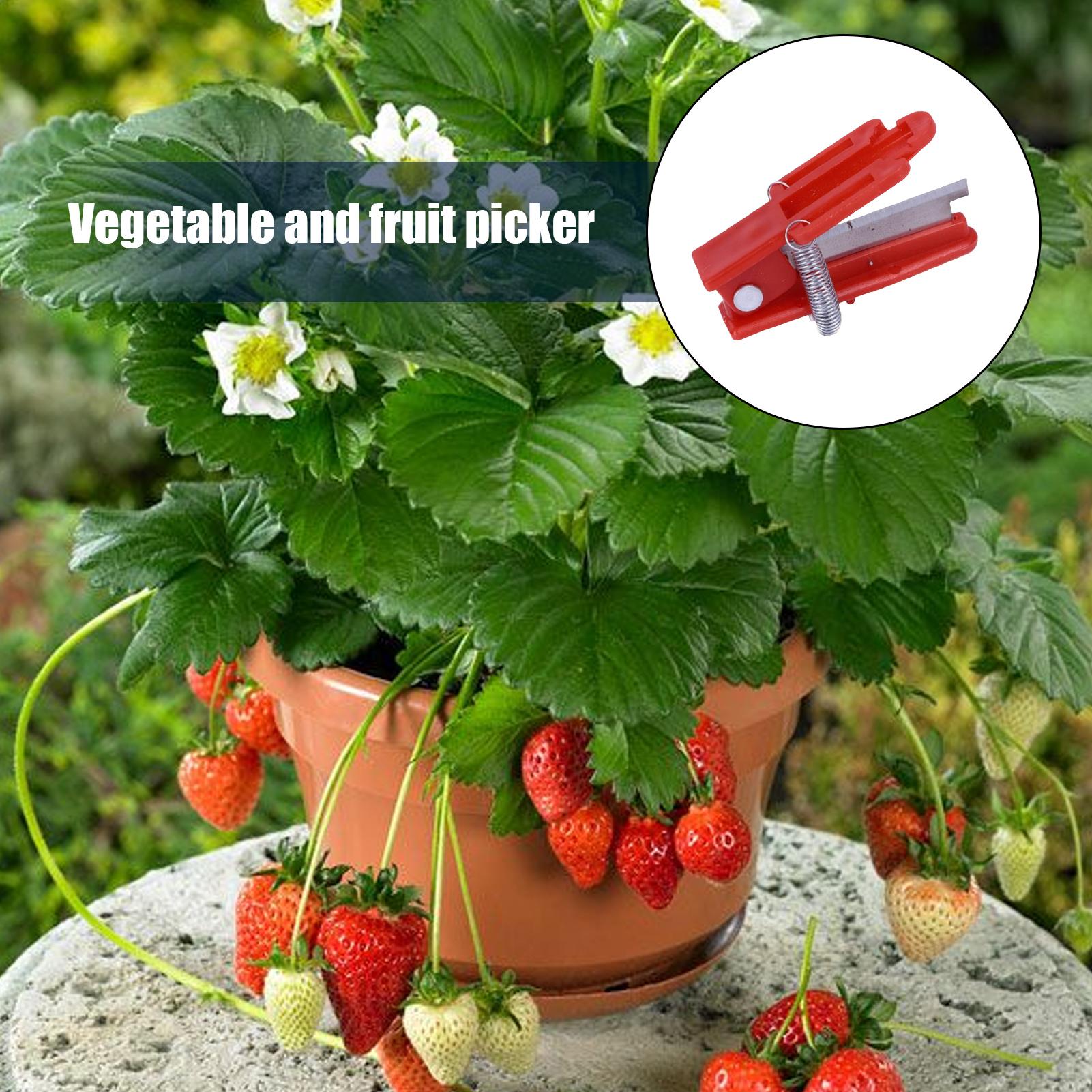 Multifunction Thumb Knife Gard - Harvest Knife Garden avis et prix