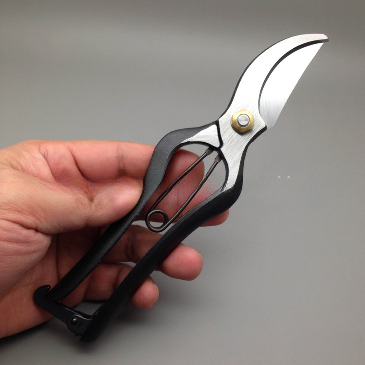 200MM Branch Scissors, Importe - Gardening Tools Japan avis et prix