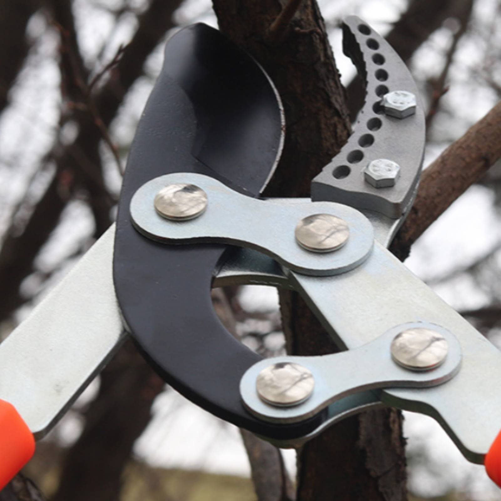 Telescopic Branch Pruners Shar - Gardening Tools In avis et prix
