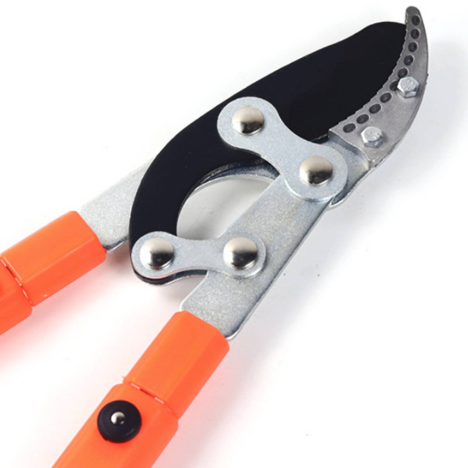 Telescopic Branch Pruners Shar - Gardening Tools In avis et prix
