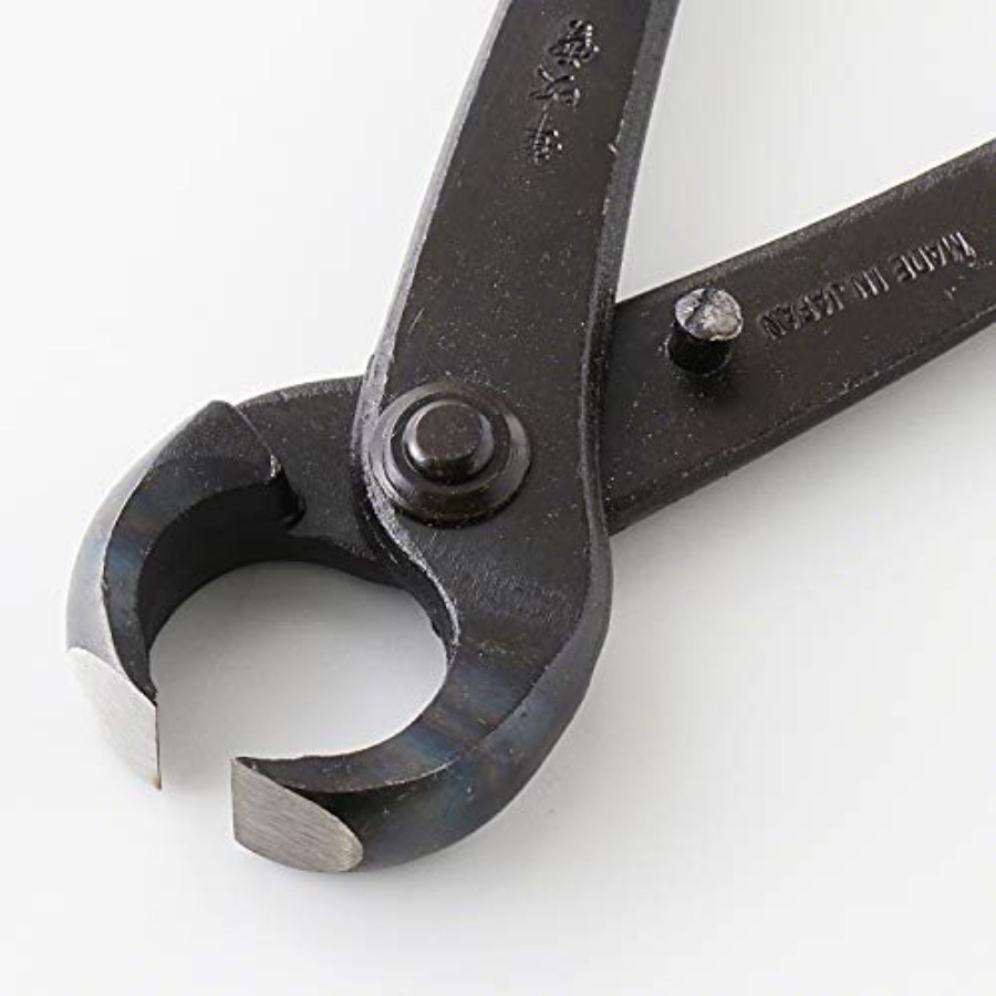 Hand Forged Bonsai Tree Trunk  - Gardening Tools Japan avis et prix