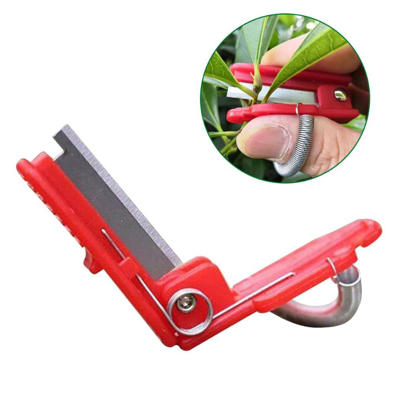 Knife Separator Vegetable Frui - Harvest Knife Garden avis et prix
