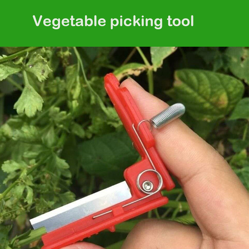 Knife Separator Vegetable Frui - Harvest Knife Garden avis et prix
