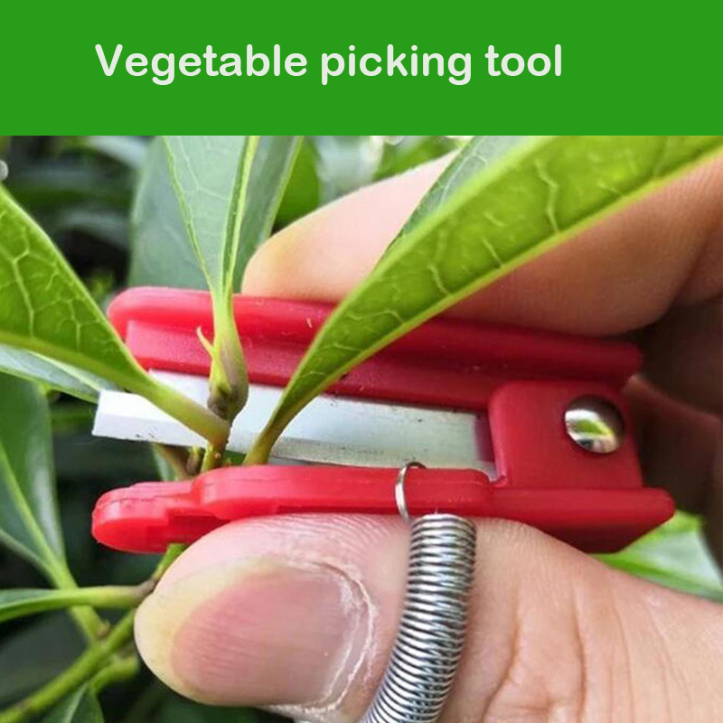 Knife Separator Vegetable Frui - Harvest Knife Garden avis et prix