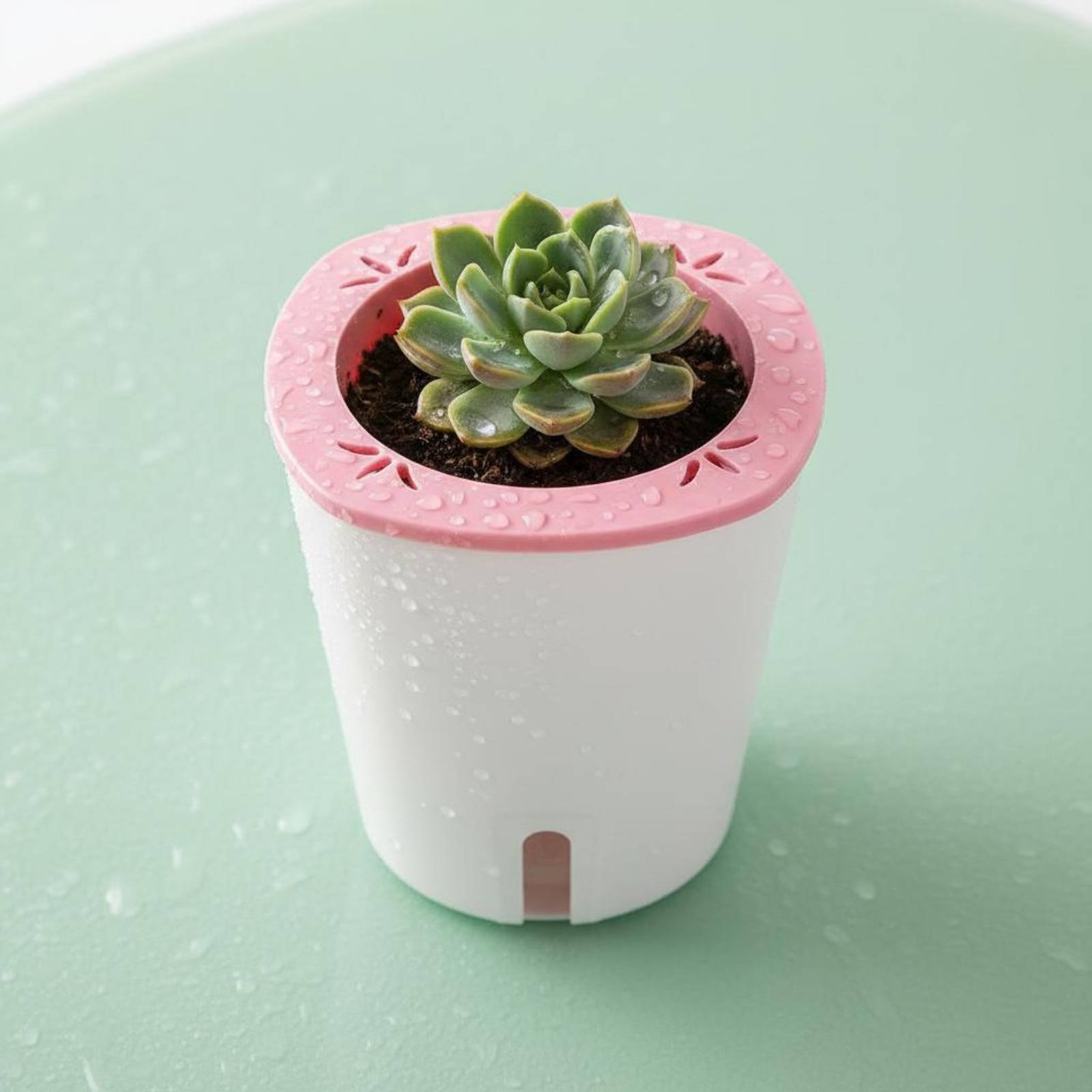 Self Watering Planter Large Si - Gardening Tools In avis et prix