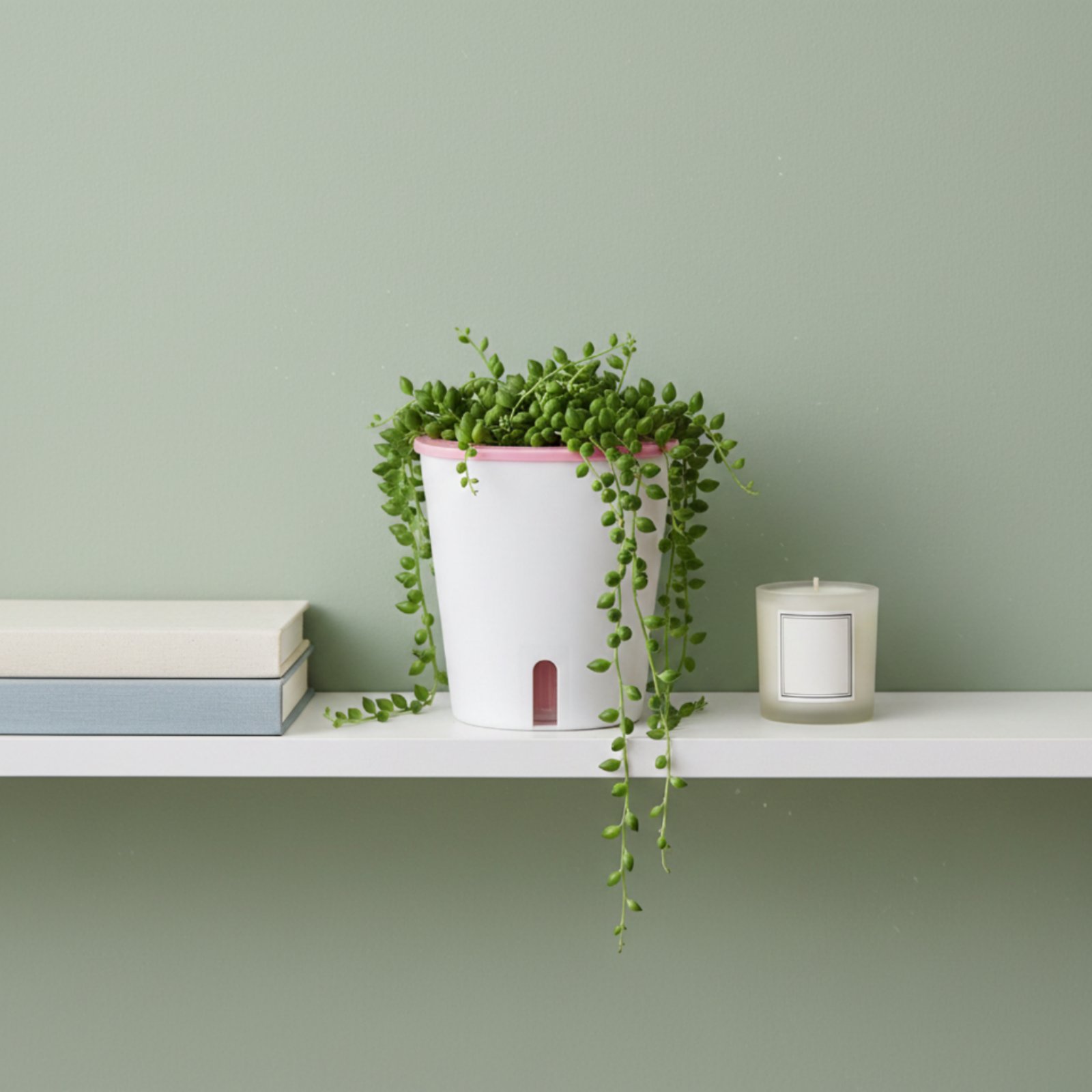 Self Watering Planter Large Si - Gardening Tools In avis et prix