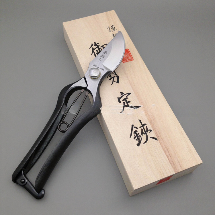 200MM Branch Scissors, Importe - Gardening Tools Japan avis et prix