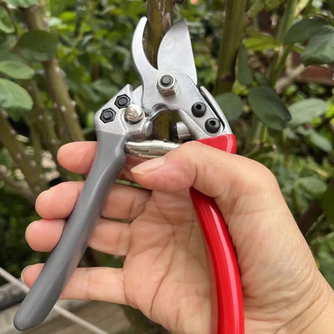 Japan Vvt New Sk5 Strong Garde - Gardening Tools Japan avis et prix